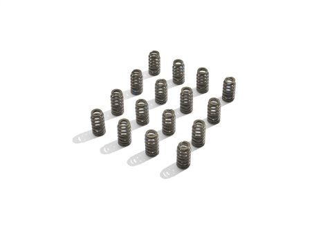 Ford Racing BOSS 302R Valve Spring Kit thumbnail 7