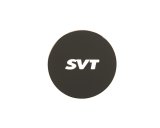 Ford Racing SVT Center Cap thumbnail 2