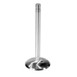 Ford Racing Intake Valve thumbnail 1