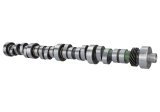 Ford Racing Small Block V-8 Hydraulic Roller Tappet Camshafts thumbnail 8