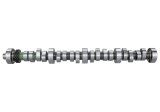 Ford Racing Small Block V-8 Hydraulic Roller Tappet Camshafts thumbnail 9