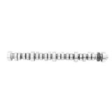 Ford Racing Small Block V-8 Hydraulic Roller Tappet Camshafts thumbnail 1