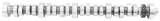 Ford Racing Small Block V-8 Hydraulic Roller Tappet Camshafts thumbnail 2