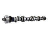 Ford Racing Small Block V-8 Hydraulic Roller Tappet Camshafts thumbnail 4