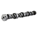 Ford Racing Small Block V-8 Hydraulic Roller Tappet Camshafts thumbnail 5