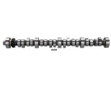 Ford Racing Small Block V-8 Hydraulic Roller Tappet Camshafts thumbnail 6