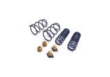 Ford Racing 2012-2013 BOSS 302 Lowering Springs thumbnail 7
