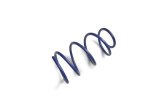 Ford Racing 2012-2013 BOSS 302 Lowering Springs thumbnail 8