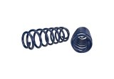Ford Racing 2013 Cobra Jet Spring Kit thumbnail 6