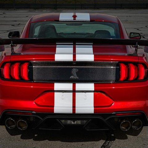 Ford Racing 20-22 Mustang GT500 Deck Lid Trim Panel thumbnail 1