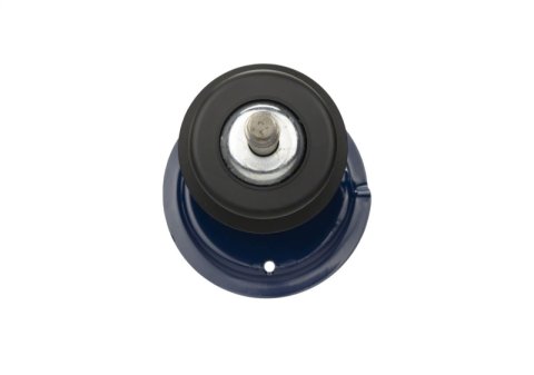 Ford Racing Single Service Replacement Front Strut for M-18000-A thumbnail 5