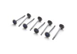 Ford Racing Coyote 5.2L Lightweight Exhaust Valve - Set of 8 thumbnail 6