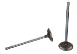 Ford Racing Coyote 5.2L Lightweight Intake Valve - Set of 8 thumbnail 5