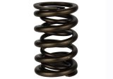 Ford Racing Replacement Hydraulic Roller Valve Spring - Single (For M-6049-SCJA) thumbnail 7