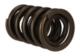 Ford Racing Replacement Hydraulic Roller Valve Spring - Single (For M-6049-SCJA) thumbnail 8