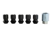 Ford Racing M12X1.5 Black Security Lug Nut - Set of 5 thumbnail 9