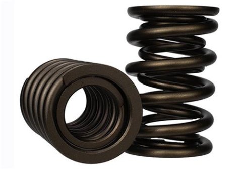 Ford Racing Replacement Valve Springs (TVS-1734) - Set Of 8