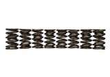 Ford Racing Replacement Valve Springs (TVS-1734) - Set Of 8 thumbnail 2