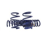 Ford Racing 2024 Mustang 2.3L Track Lowering Spring Kit thumbnail 3