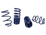 Ford Racing 15-24 Mustang Street Lowering Spring Kit thumbnail 1
