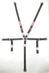 RaceQuip Black JR. CAMLOCK 5pt Seat Belt thumbnail 1