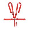 RaceQuip Red SFI CAMLOCK 5pt PD Lap Seat Belt thumbnail 9