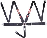 RaceQuip Black SFI CAMLOCK 5pt PD Lap HNR Seat Belt thumbnail 2