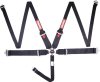 RaceQuip Black SFI CAMLOCK 5pt PD Lap HNR Seat Belt thumbnail 3