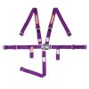 RaceQuip Purple JR. L & L 5pt Harness thumbnail 3