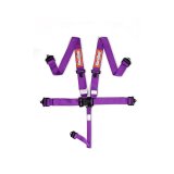 RaceQuip Purple L & L 5pt Seat Belt thumbnail 2