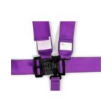RaceQuip Purple L & L 5pt Seat Belt thumbnail 3