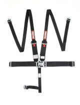 RaceQuip Black L & L 5pt HNR Seat Belt thumbnail 1