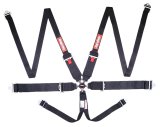 RaceQuip Black SFI CAMLOCK 6pt PD Lap HNR Seat Belt thumbnail 2