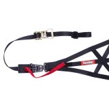 RaceQuip Black SFI 37.1 Side Roll Cage Net thumbnail 2