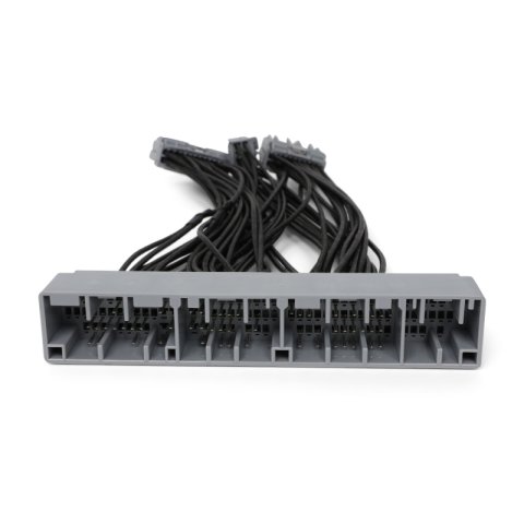 BLOX Racing Honda OB2B - OBD1 ECU Jumper Harness thumbnail 3