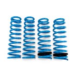 BLOX Racing Lowering Springs 92-95 Honda Civic Del Sol thumbnail 1