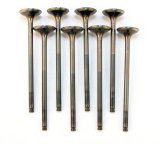 BLOX Racing High Compression Exhaust Valve Set for D-series SOHC VTEC (D16Z-Y) thumbnail 1