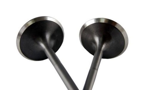 BLOX Racing High Compression Intake Valve Set for Honda F20C (set of 8) thumbnail 1