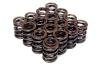 BLOX Racing Valve Springs for F20C/F22C (2.0L-2.2L DOHC VTEC) thumbnail 2