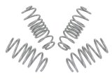 Whiteline 14-17 Ford Fiesta ST Performance Lowering Springs thumbnail 6