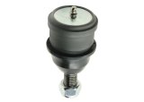 Whiteline Plus 94-04 Ford Mustang Front Lower Control Arm Ball Joint thumbnail 6