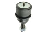 Whiteline Plus 94-04 Ford Mustang Front Lower Control Arm Ball Joint thumbnail 7