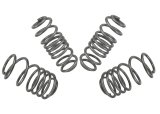 Whiteline 09-14 VW Golf MK6 2.0 GTI Performance Lowering Springs thumbnail 5
