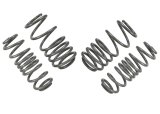 Whiteline 09-14 VW Golf MK6 2.0 GTI Performance Lowering Springs thumbnail 6