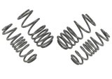 Whiteline 09-14 VW Golf MK6 2.0 GTI Performance Lowering Springs thumbnail 8