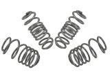 Whiteline 09-14 VW Golf MK6 2.0 GTI Performance Lowering Springs thumbnail 9