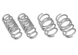 Whiteline 2015 VW Golf MK7-R Performance Lowering Springs thumbnail 7