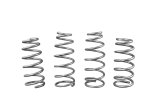 Whiteline 2017+ Tesla Model 3 AWD Front & Rear Lowered Coil Springs thumbnail 1