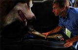 Husky Liners 09-12 Ford F-150 Super Cab Husky GearBox (w/o Factory Subwoofer) thumbnail 4