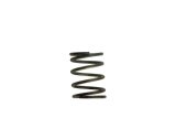 Turbosmart WG40 5PSI Inner Spring Brown/Grey thumbnail 3